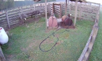 hd7